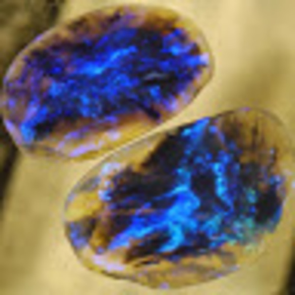 Meet your Posher, Chrissy - Picture 1 of 1